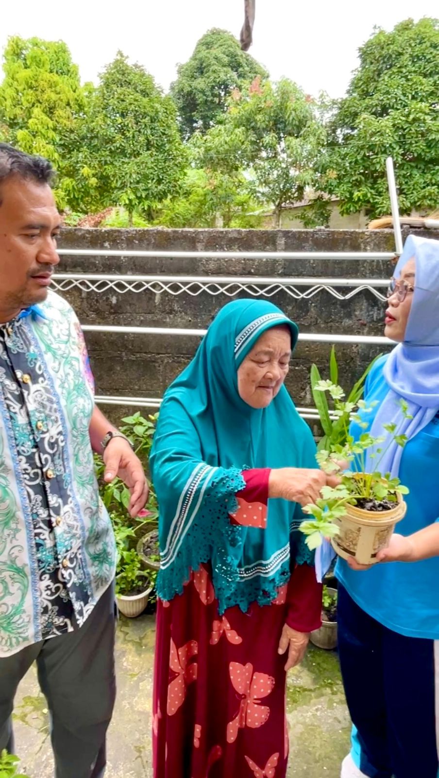 Gerakan Nanem Cabe Rakyat (GENCAR) Beri Manfaat Nyata, Perkuat Ketahanan Pangan dan Kendalikan Inflasi di Bangka Belitung